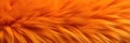 An Orange Fur Background Texture Featuring Natures Fluffy And Colorful Wool