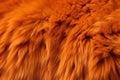 Orange fur texture background. Generate ai Royalty Free Stock Photo