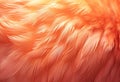 an orange fur texture close up, digital manipulation Royalty Free Stock Photo