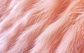 an orange fur texture close up, digital manipulation Royalty Free Stock Photo