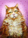Orange furry cat with green eyes acrylic painting