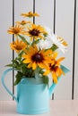 Orange gardens daisies, rudbeckia, flower in the blue watering can
