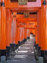 Orange gates at the Fushimi Inari Shrine in Kyoto