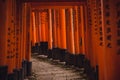 Orange gates of Thousands Torii Gate Shinto shrine