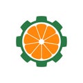 Orange gear vector logo icon