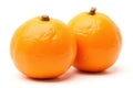 Orange Gems - Satsuma Mandarin Fruit Royalty Free Stock Photo