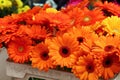 Orange gerber daisy flowers bouquete