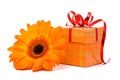Orange gerber flower and gift box Royalty Free Stock Photo
