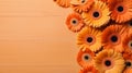 Orange Gerbera Daisies On Rustic Orange Surface Royalty Free Stock Photo