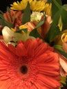 Orange gerbera daisy photobombing a floral picture