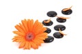 Orange gerbera flower and black zen stone Royalty Free Stock Photo