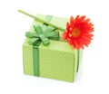 Orange gerbera flower over gift box Royalty Free Stock Photo