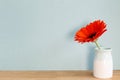 Orange gerbera flower on wooden table with sky blue background Royalty Free Stock Photo