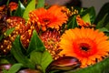 Orange gerbera flowers bouquet, close up. Floral background Royalty Free Stock Photo