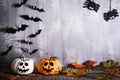 Orange ghost pumpkins with witch hat on gray wooden board background with bat. halloween concept