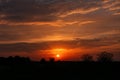 Orange glow sky sunset in the field Royalty Free Stock Photo