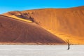 Orange-gold sand dunes Royalty Free Stock Photo