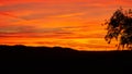 Orange golden evening sky with black landscape in the foreground Royalty Free Stock Photo