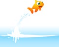 Orange Goldfish Fish Jumping Out of the Water