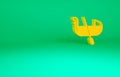 Orange Gondola boat italy venice icon isolated on green background. Tourism rowing transport romantic. Minimalism