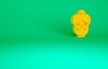 Orange Grandmother icon isolated on green background. Minimalism concept. 3d illustration 3D render