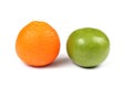 Orange and grapefruit i Royalty Free Stock Photo