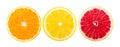 Orange grapefruit lemon slice isolated on a white background. Royalty Free Stock Photo