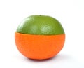 Orange and grapefruit in one fruit Royalty Free Stock Photo