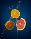 Orange and grapefruit slices splashing Royalty Free Stock Photo