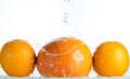Orange and grapefruit in a spray of water on a white background Royalty Free Stock Photo