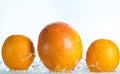 Orange and grapefruit in a spray of water on a white background Royalty Free Stock Photo