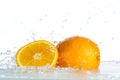 Orange and grapefruit in a spray of water on a white background Royalty Free Stock Photo