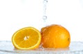 Orange and grapefruit in a spray of water on a white background Royalty Free Stock Photo