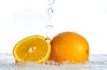 Orange and grapefruit in a spray of water on a white background Royalty Free Stock Photo