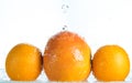Orange and grapefruit in a spray of water on a white background Royalty Free Stock Photo