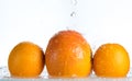 Orange and grapefruit in a spray of water on a white background Royalty Free Stock Photo
