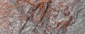 Orange gray abstract rusty marble granite natural stone texture panorama Royalty Free Stock Photo