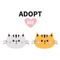 Orange gray cat round face silhouette set. Adopt me. Pink heart. Pet adoption. Kawaii animal. Funny baby kitten. Cute cartoon kitt