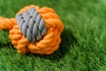 Orange gray rag dog toy on synthetic grass hard light