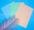 Orange, green and blue paper with colored tropical flower in pink.