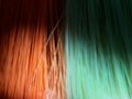 Orange and Green Broom in Dark and Bright Blur Closeup Image