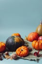 Orange and green decorative pumpkins, apples, nuts and fallen leaves in autumn harvest composition on trendy earth tones Royalty Free Stock Photo