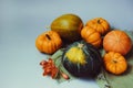 Orange and green decorative pumpkins, apples, nuts and fallen leaves in autumn harvest composition on trendy earth tones Royalty Free Stock Photo