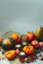 Orange, green decorative pumpkins, apples, nuts, fallen leaves and candles in autumn harvest composition on trendy earth Royalty Free Stock Photo