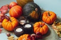 Orange, green decorative pumpkins, apples, nuts, fallen leaves and candles in autumn harvest composition on trendy earth Royalty Free Stock Photo