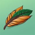 an orange and green feather on a green background