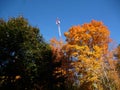 Orange and green leaves & antenna