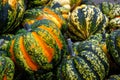 Orange Green Spotted Pumpkin Group Closeup Texture Crate Organic