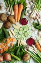 Orange and green veggies and roots composition on a dark slate t