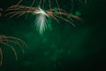 Orange, green and white fireworks against the backdrop of the night sky Royalty Free Stock Photo